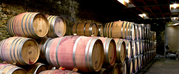Rosé Wein Portugal Qualität | O Vinho Portugal Import