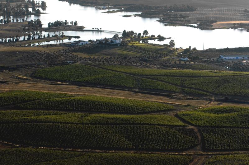 Import Alentejo ist | Weinregion Portugal bekannt O Vinho in Portugal