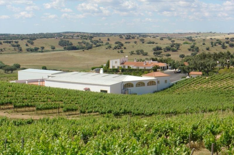 Alentejo in Portugal O Weinregion bekannt | Import ist Vinho Portugal